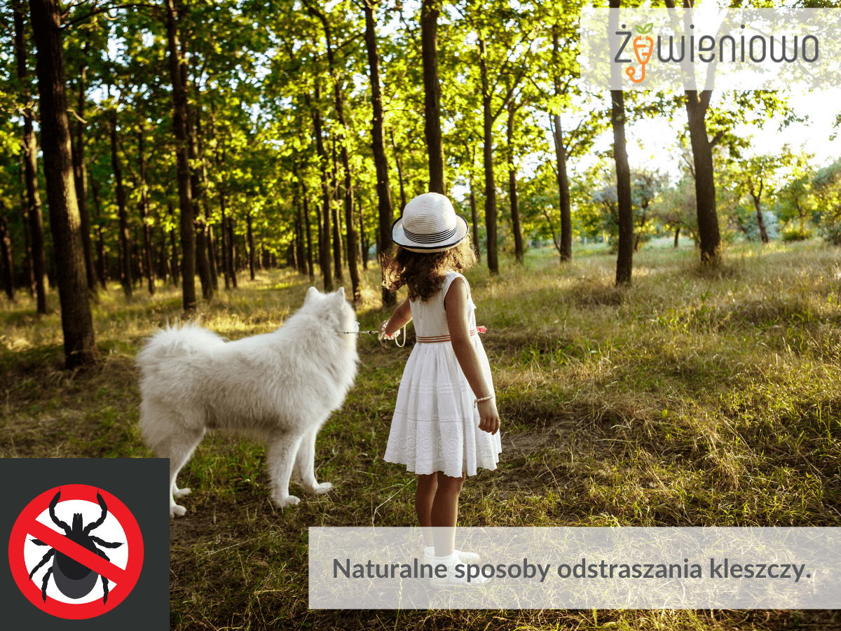 Naturalne sposoby odstraszania kleszczy.