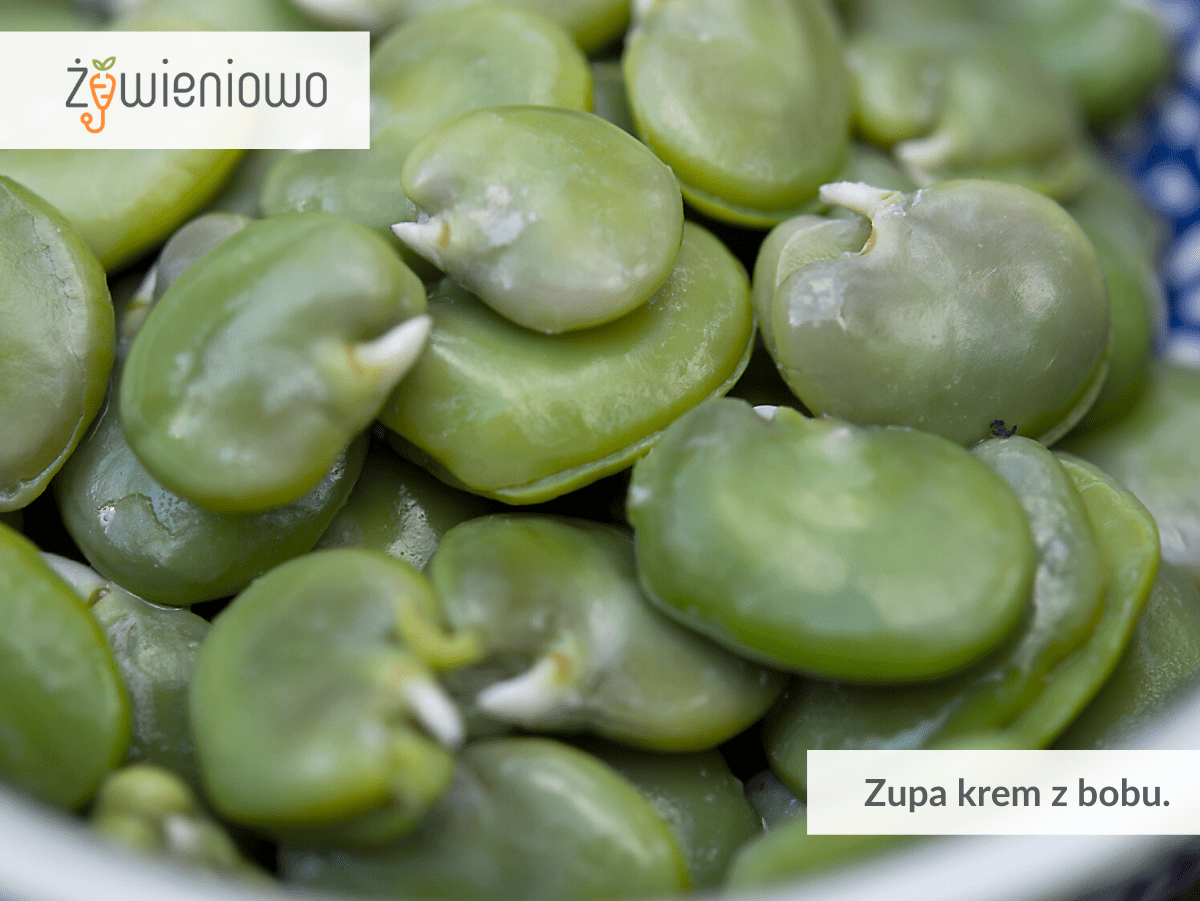 Zupa krem z&nbsp;bobu .